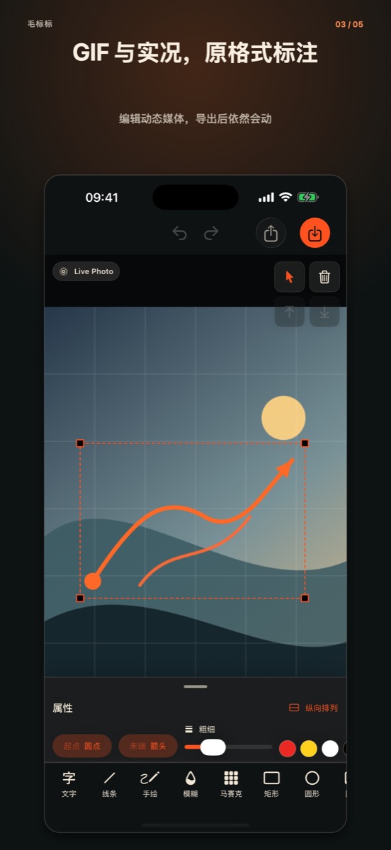 毛标标 screenshot 3